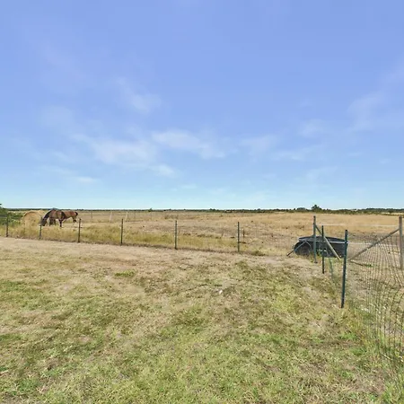 Maison Piscine & Grand Jardin Face Aux Chevaux *